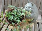 となりのトトロ　土器風 宝ツボ